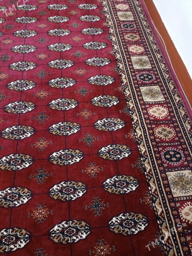 Haly - Aşgabat - img 4