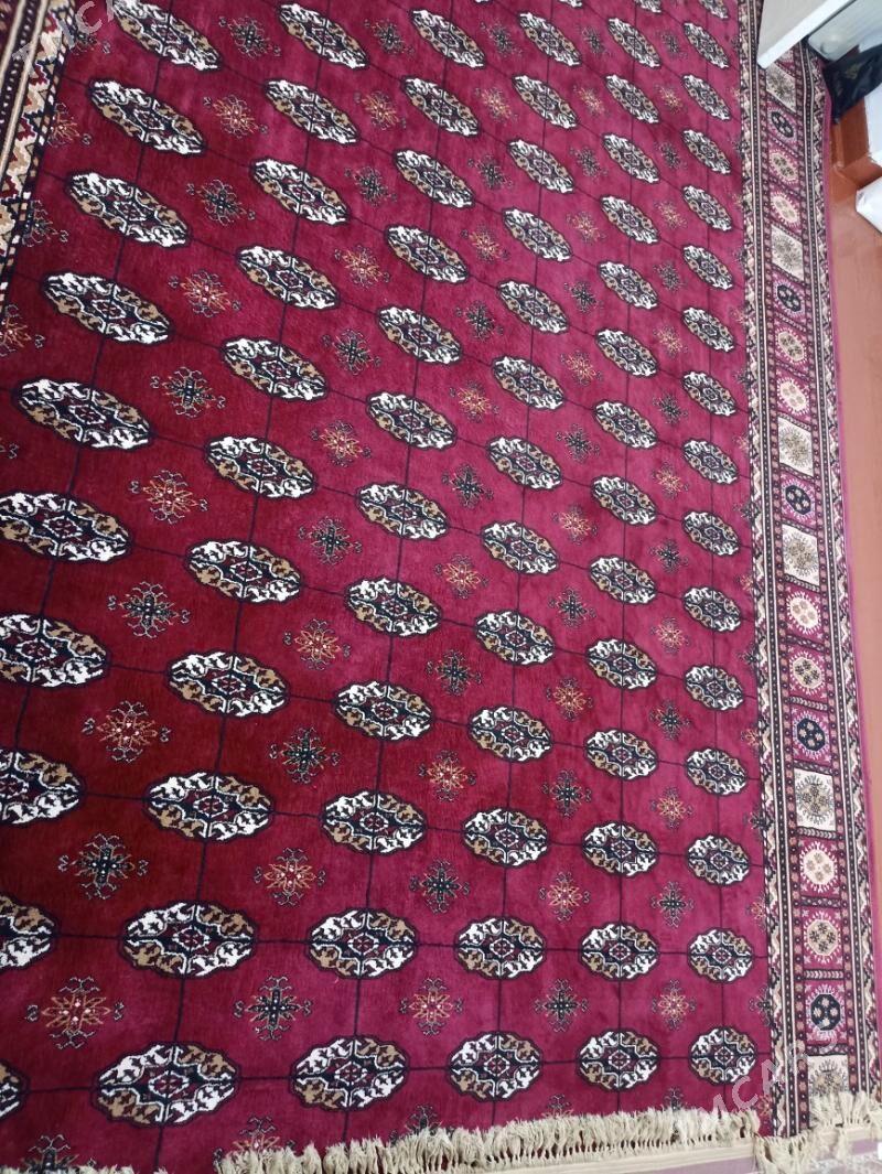 Haly - Aşgabat - img 2