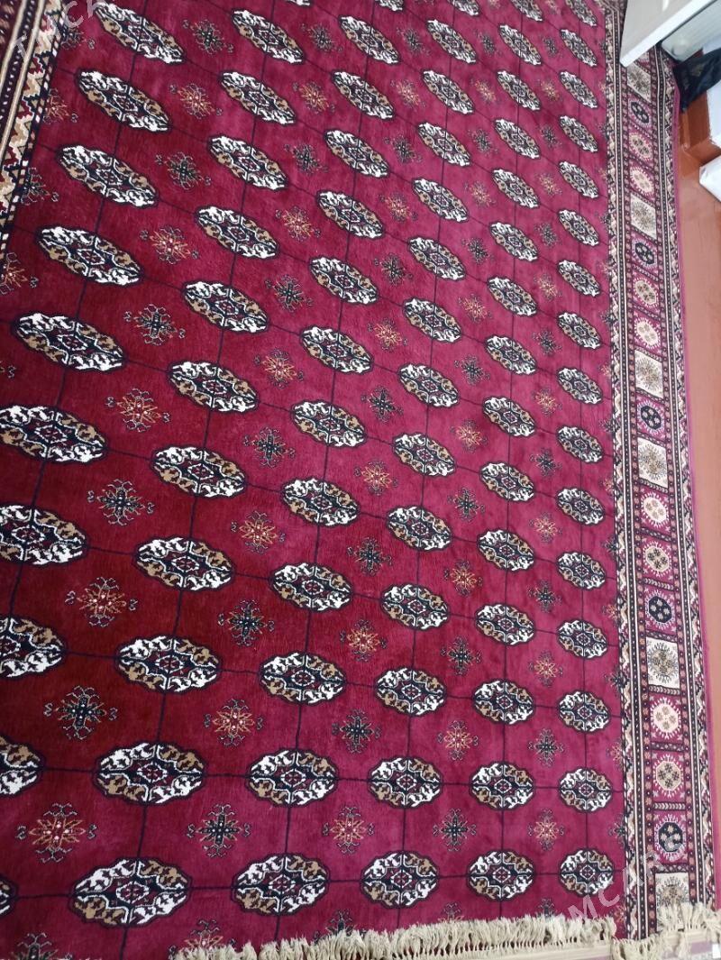 Haly - Aşgabat - img 1