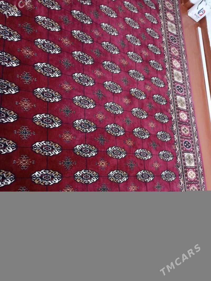 Haly - Aşgabat - img 3