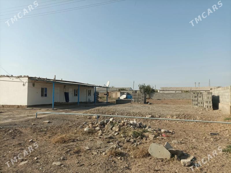 tejen wsaky jay - Теджен - img 2