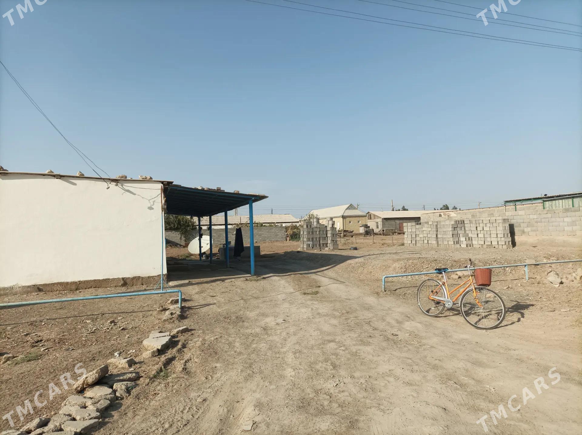 tejen wsaky jay - Теджен - img 3