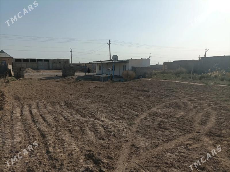 tejen wsaky jay - Теджен - img 4