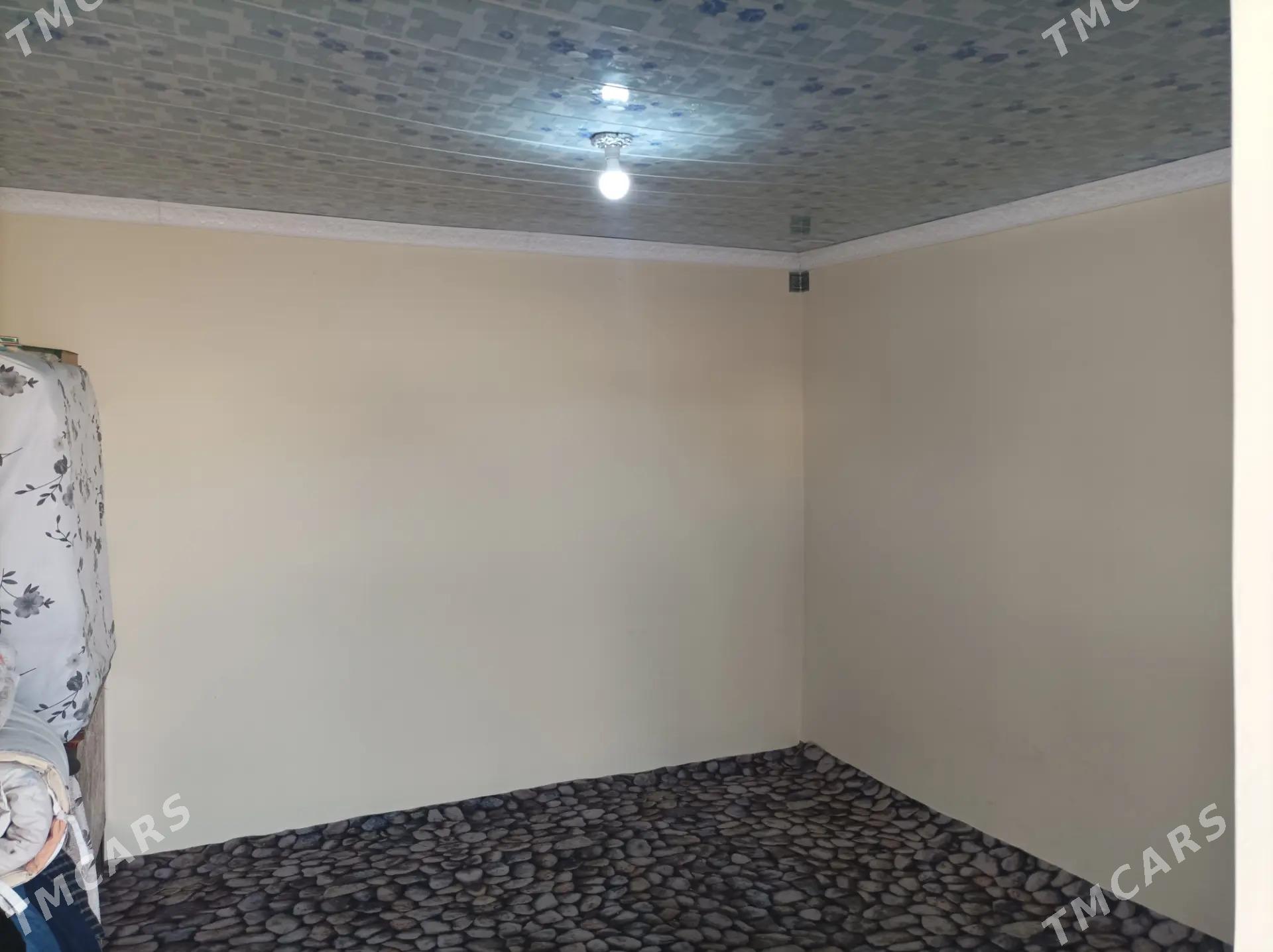 tejen wsaky jay - Теджен - img 5