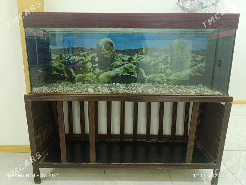 AKWARIUM - 1 mkr - img 1