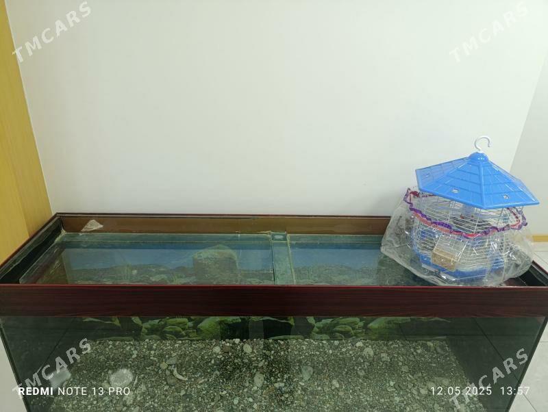 AKWARIUM - 1 mkr - img 2