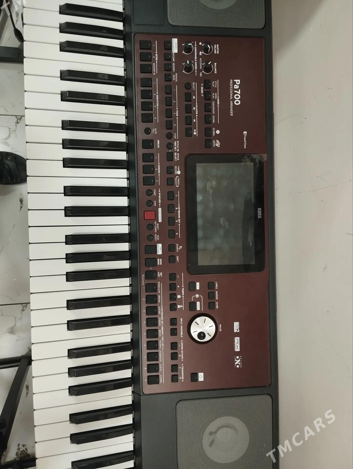 KORG PA 700 - Mary - img 2