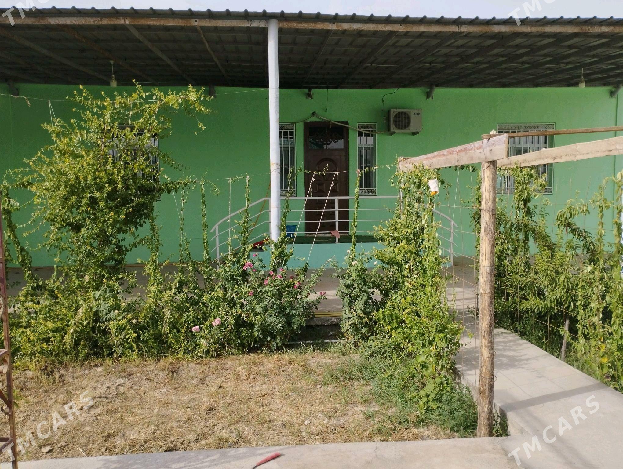 satlyk jay - Gökdepe - img 3