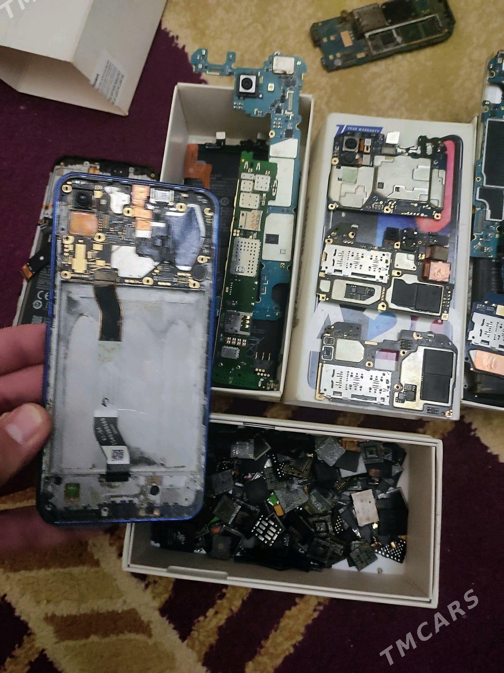 Plata - Туркменабат - img 2