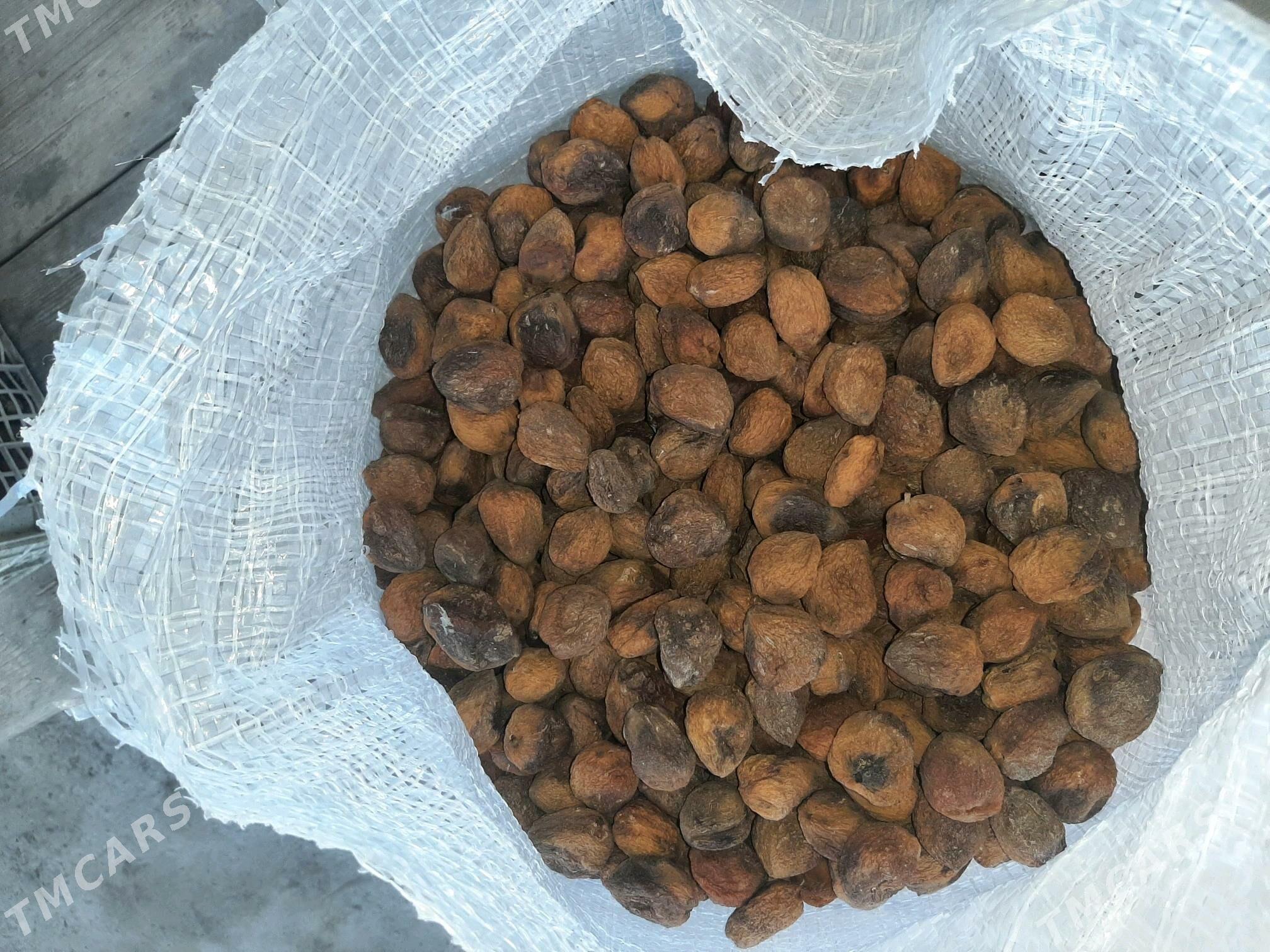 kak erik - Daşoguz - img 1