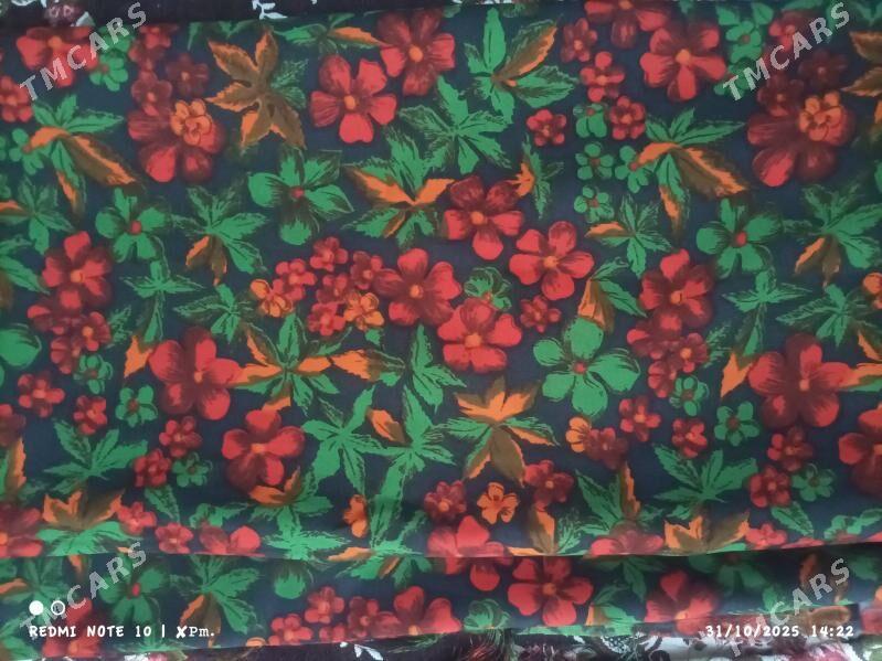 Gadymy mata - Etrek - img 2