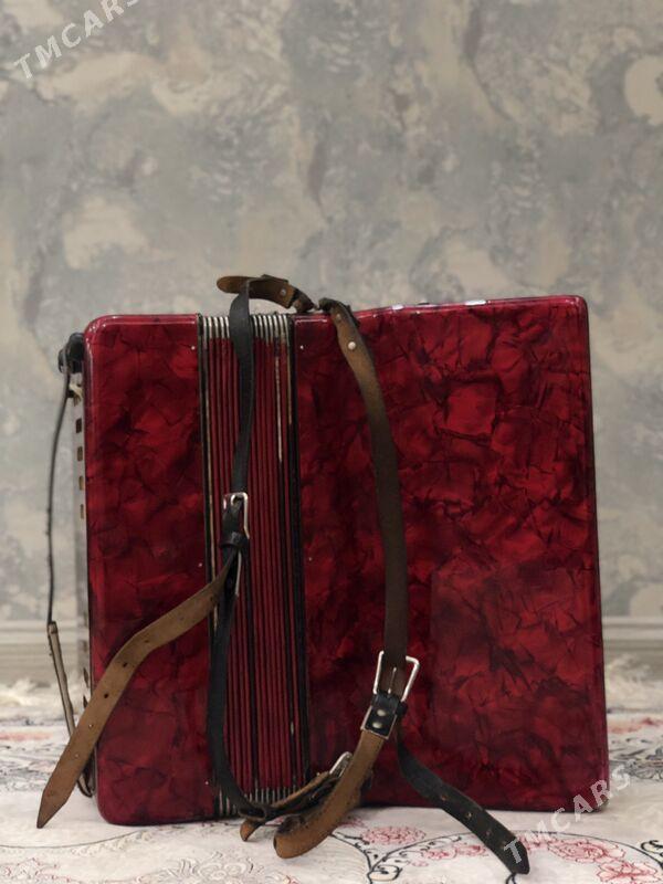 Akkordion - Ашхабад - img 3