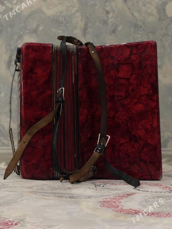 Akkordion - Ашхабад - img 2