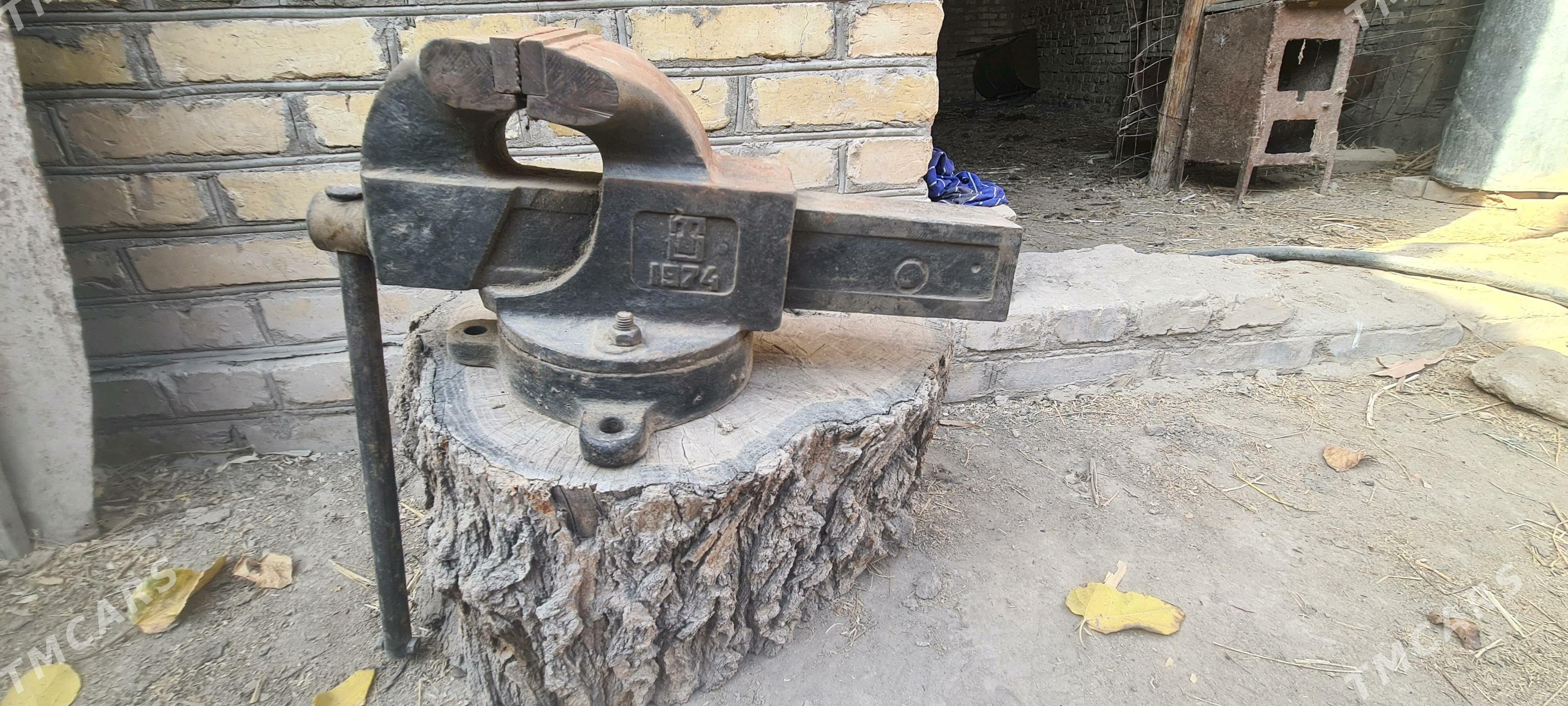 Tiski 50 sm - Halaç - img 3