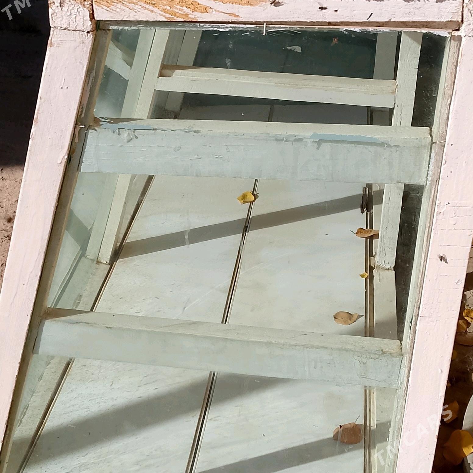 polka - Daşoguz - img 4