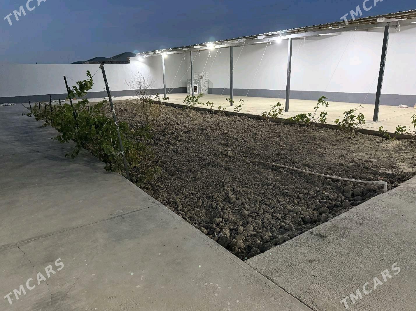 Jay.  жай - Дашогуз - img 3