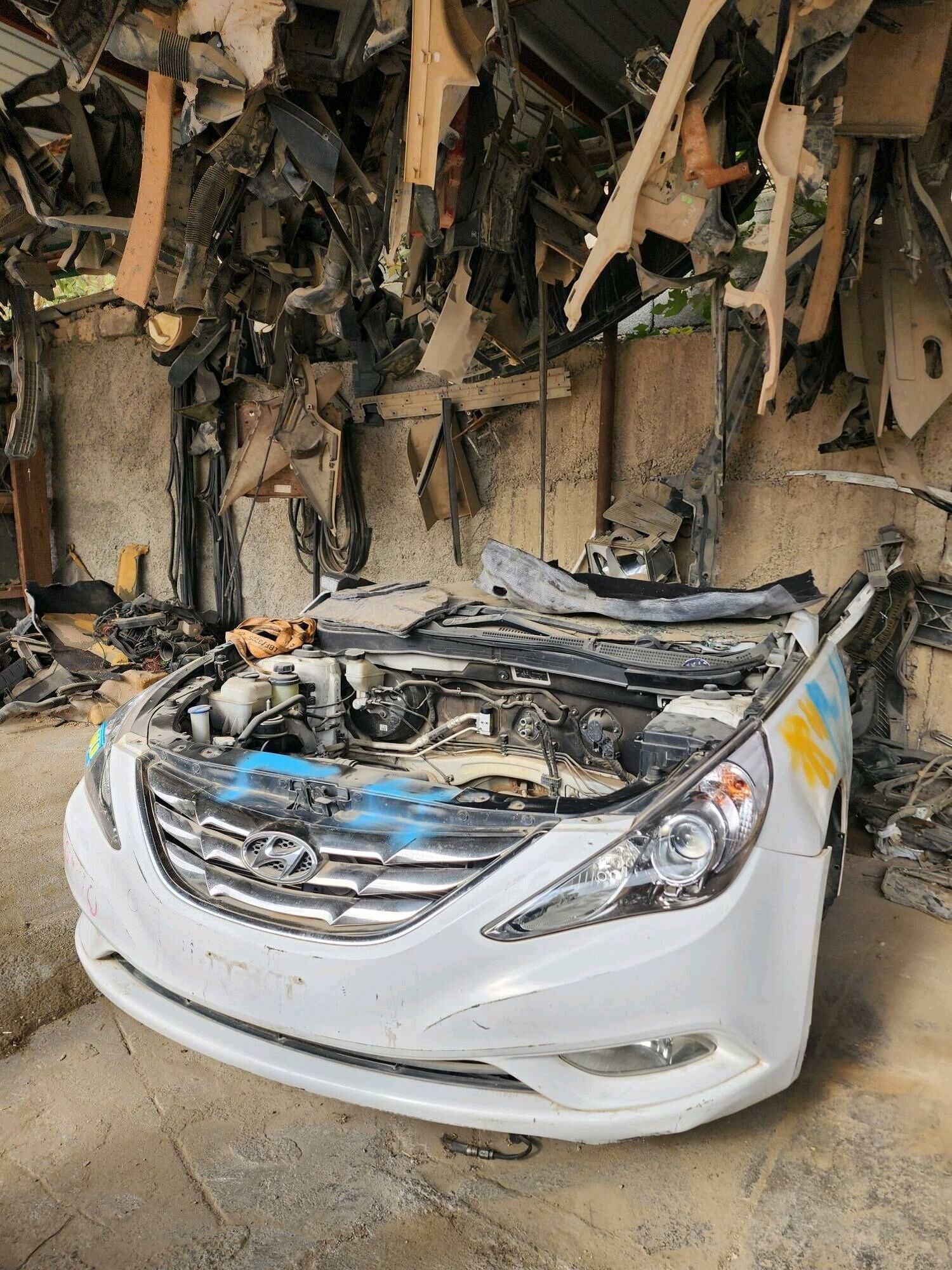 Kia hyundai 40ýylyk 630 305 TMT - Büzmeýin - img 6