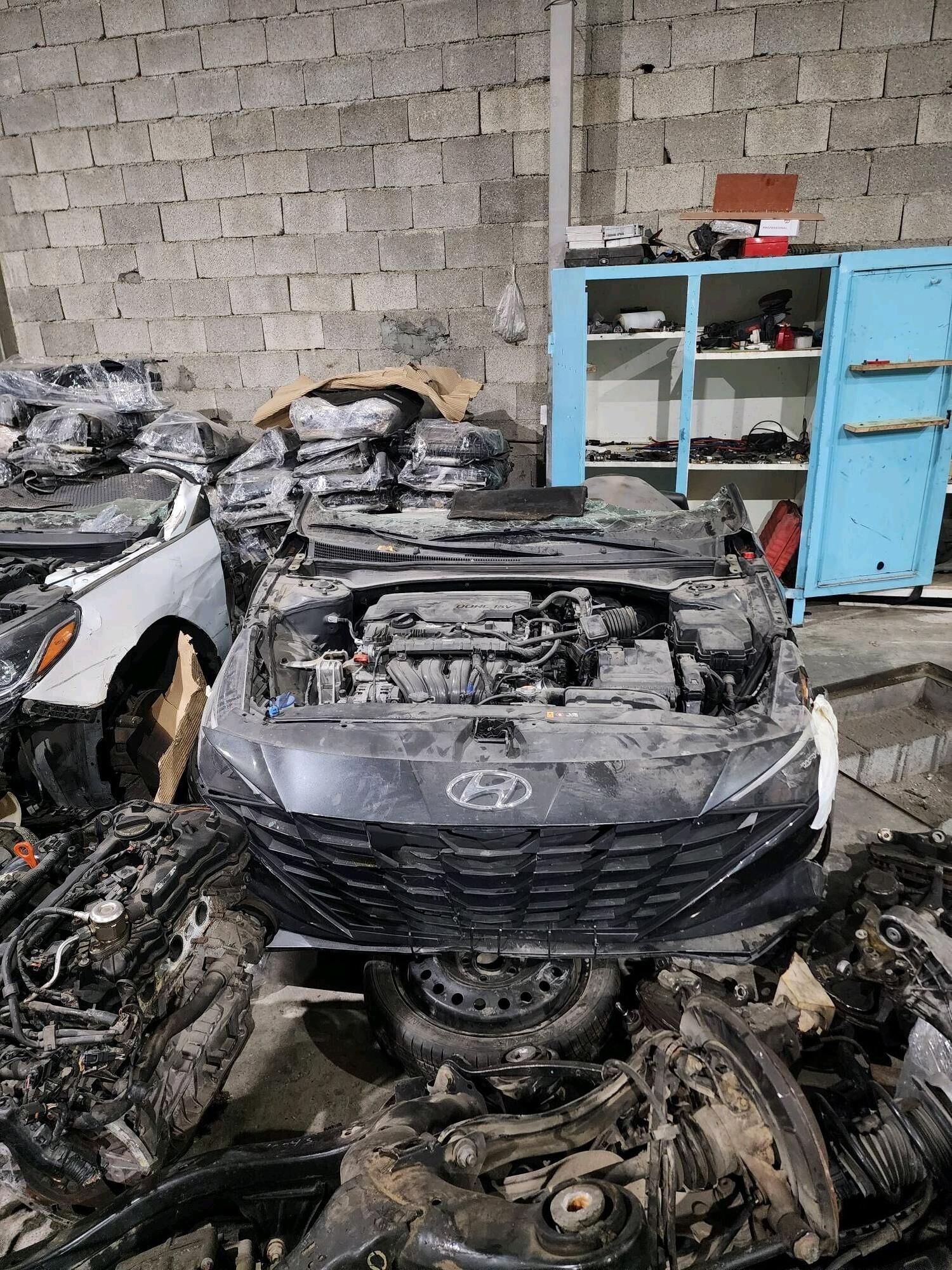 Kia hyundai 40ýylyk 630 305 TMT - Büzmeýin - img 1