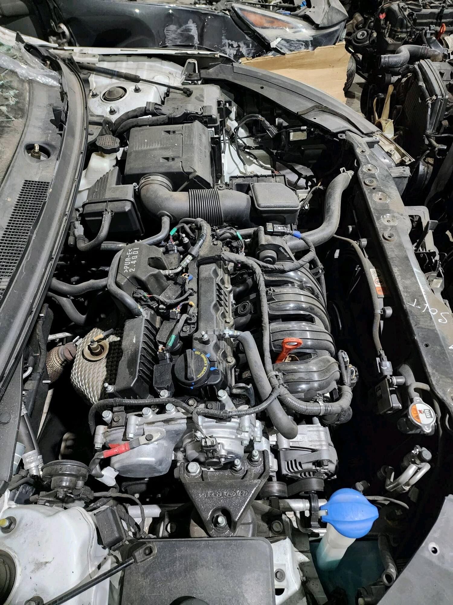 Kia hyundai 40ýylyk 630 305 TMT - Büzmeýin - img 3