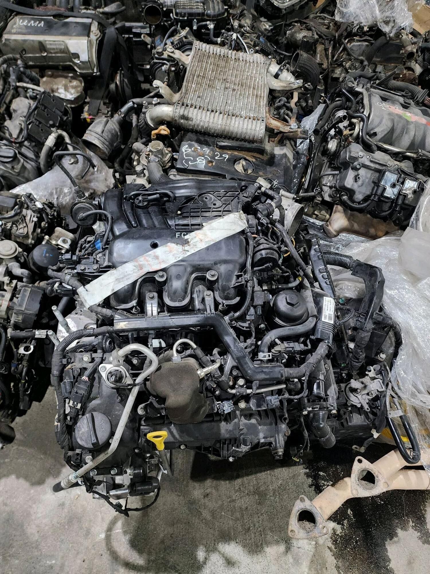 Kia hyundai 40ýylyk 630 305 TMT - Büzmeýin - img 4