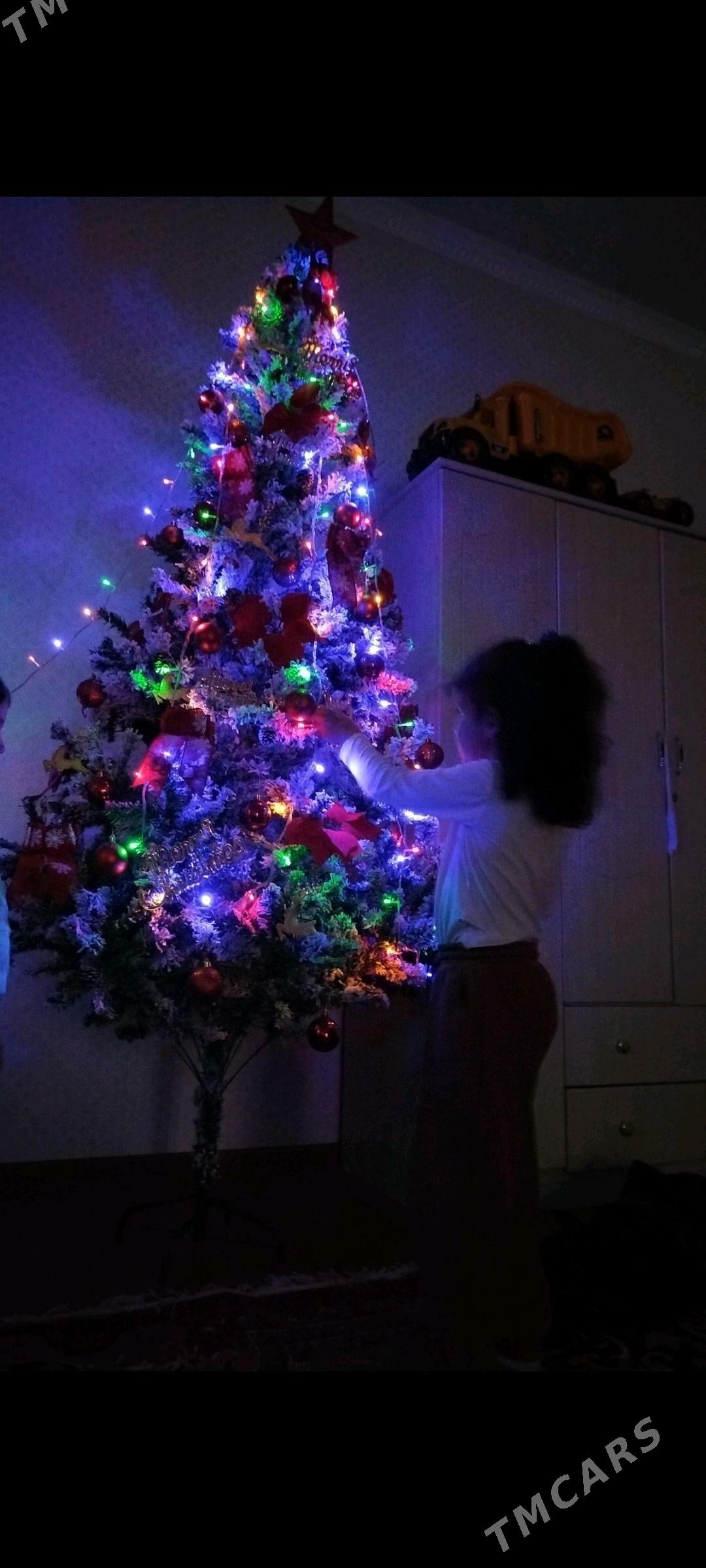 yolka - Wekilbazar - img 6