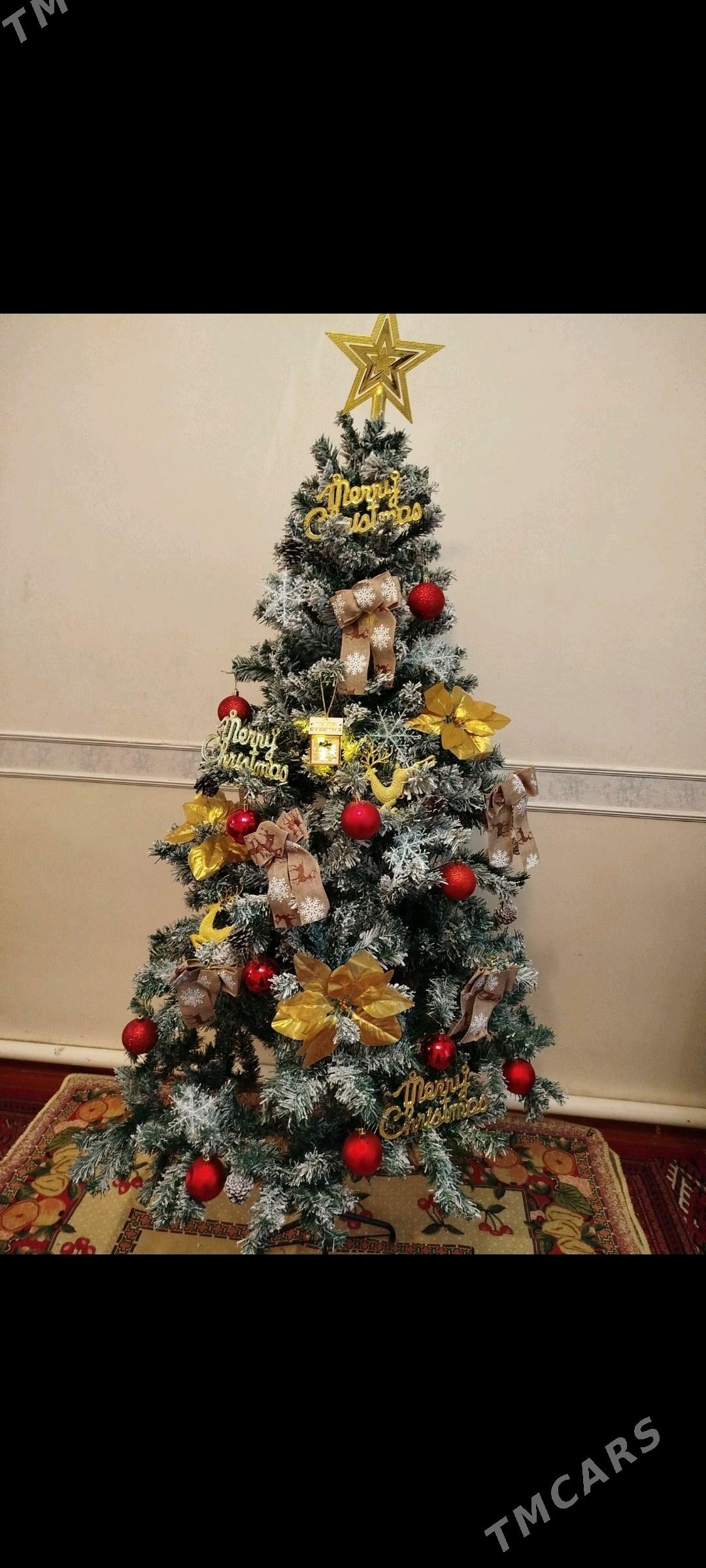 yolka - Wekilbazar - img 4