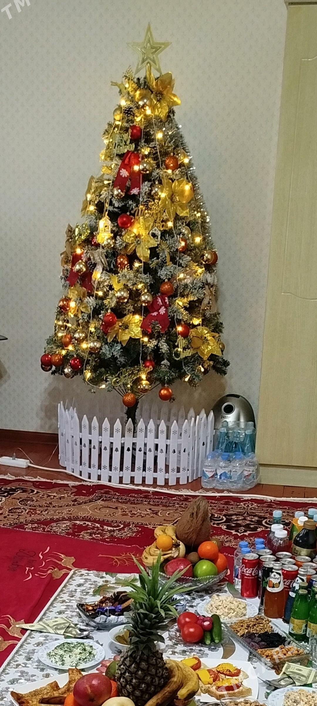 yolka - Wekilbazar - img 7