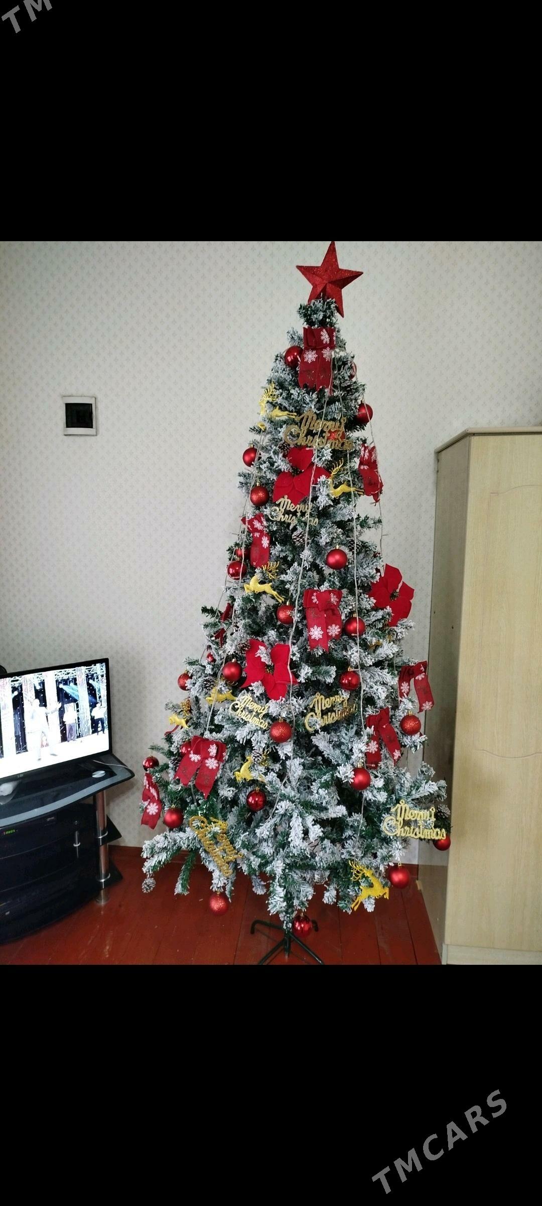 yolka - Wekilbazar - img 5