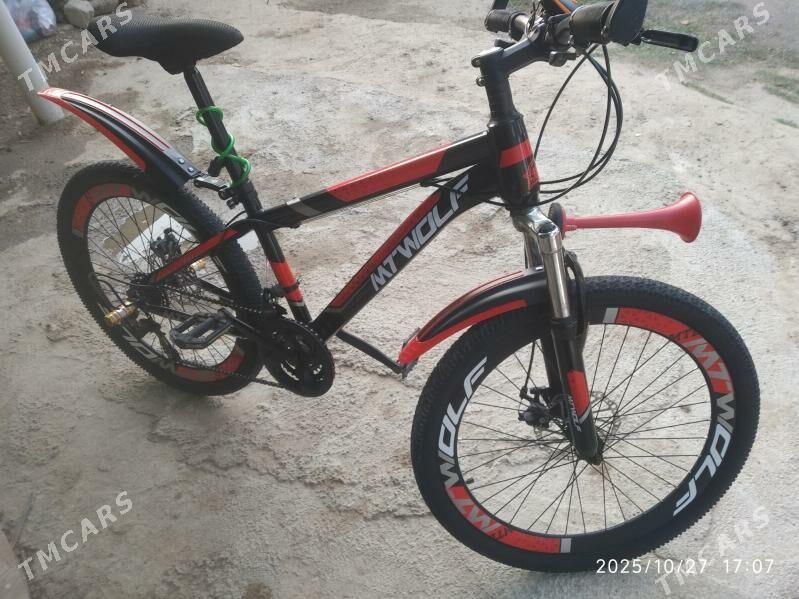 Tigir - Ашхабад - img 2