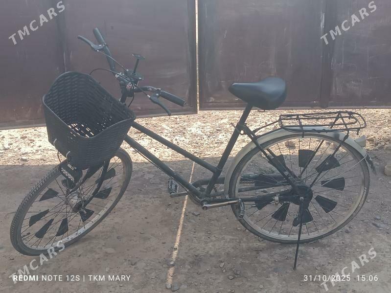 welik - Mary - img 3