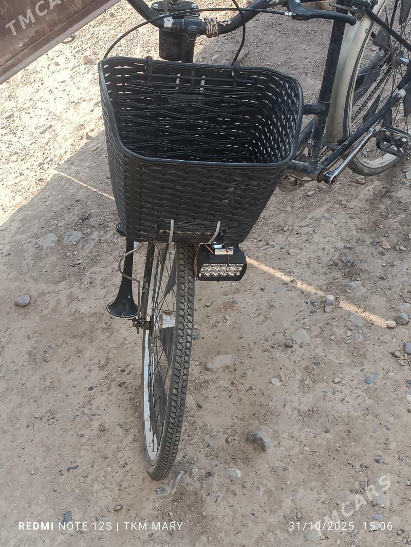 welik - Mary - img 2