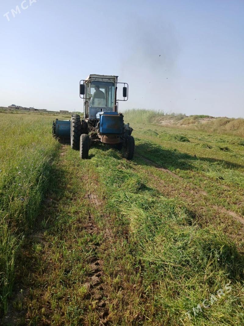 MTZ T-28 2023 - 85 000 TMT - Гарабекевюл - img 5