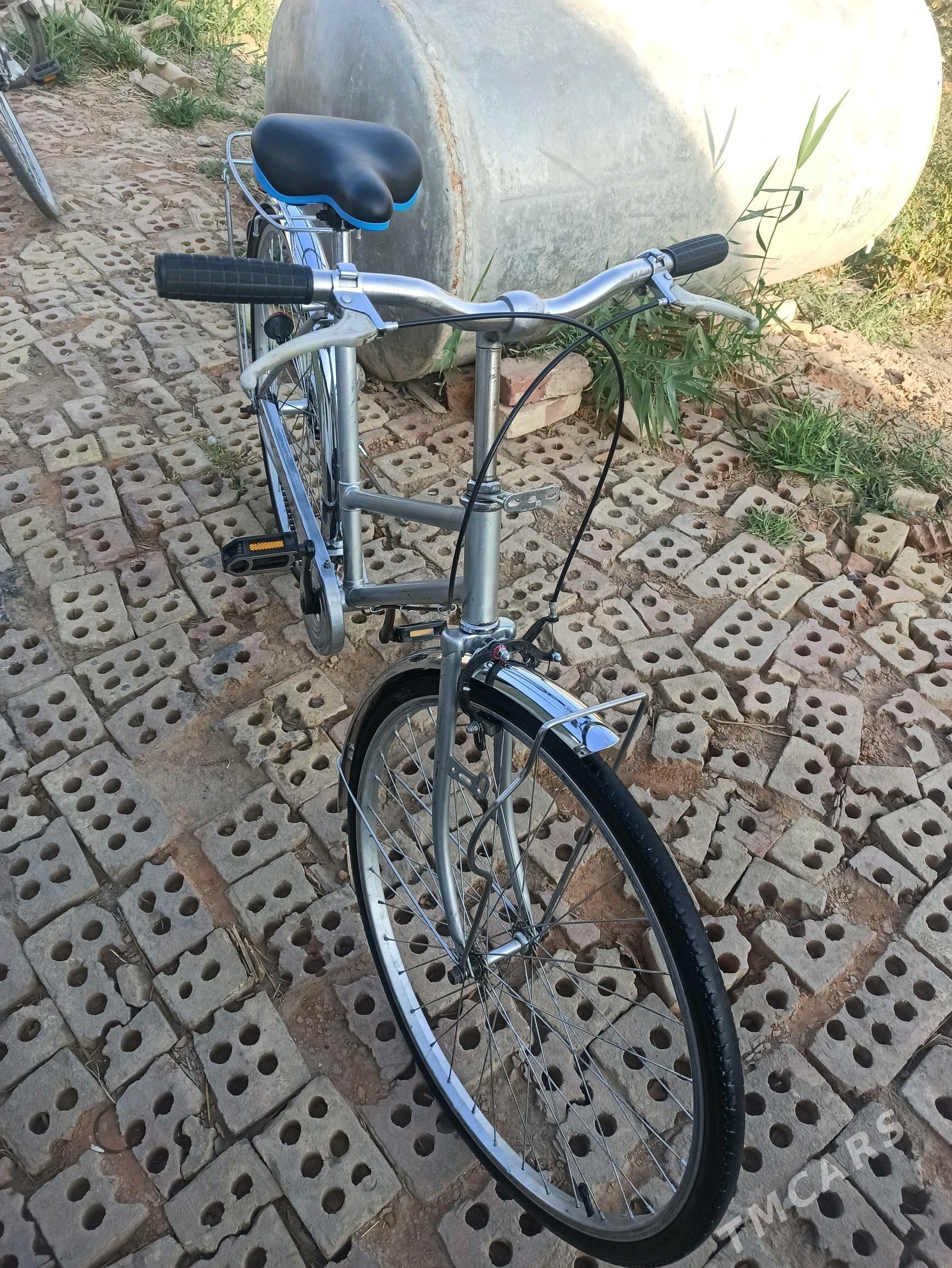 26 lyk welsoped - Mary - img 3