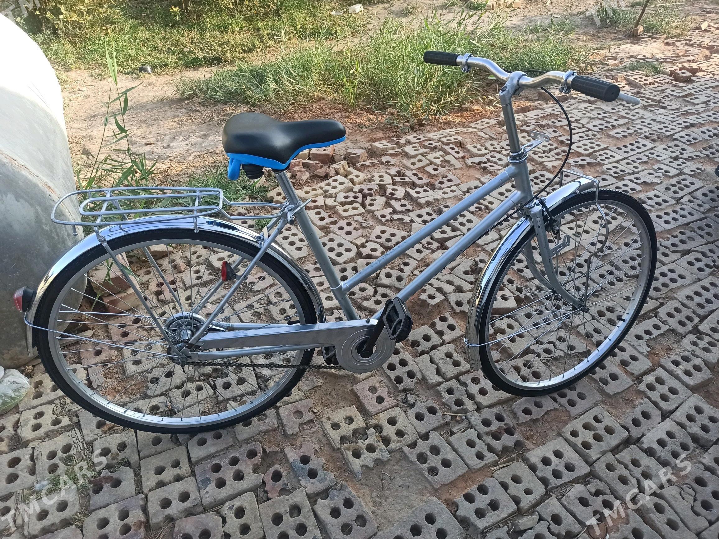 26 lyk welsoped - Mary - img 2