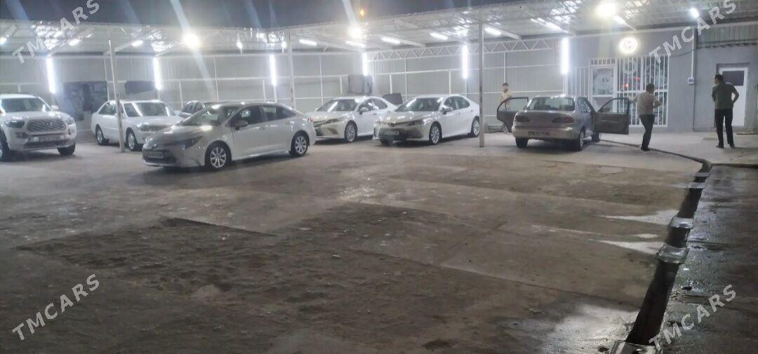 Kuweyt moyka ISHGAR GEREK - Mary - img 1