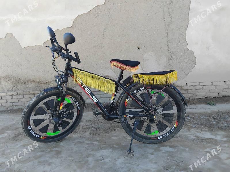 welesiped - Шабатский этрап - img 2