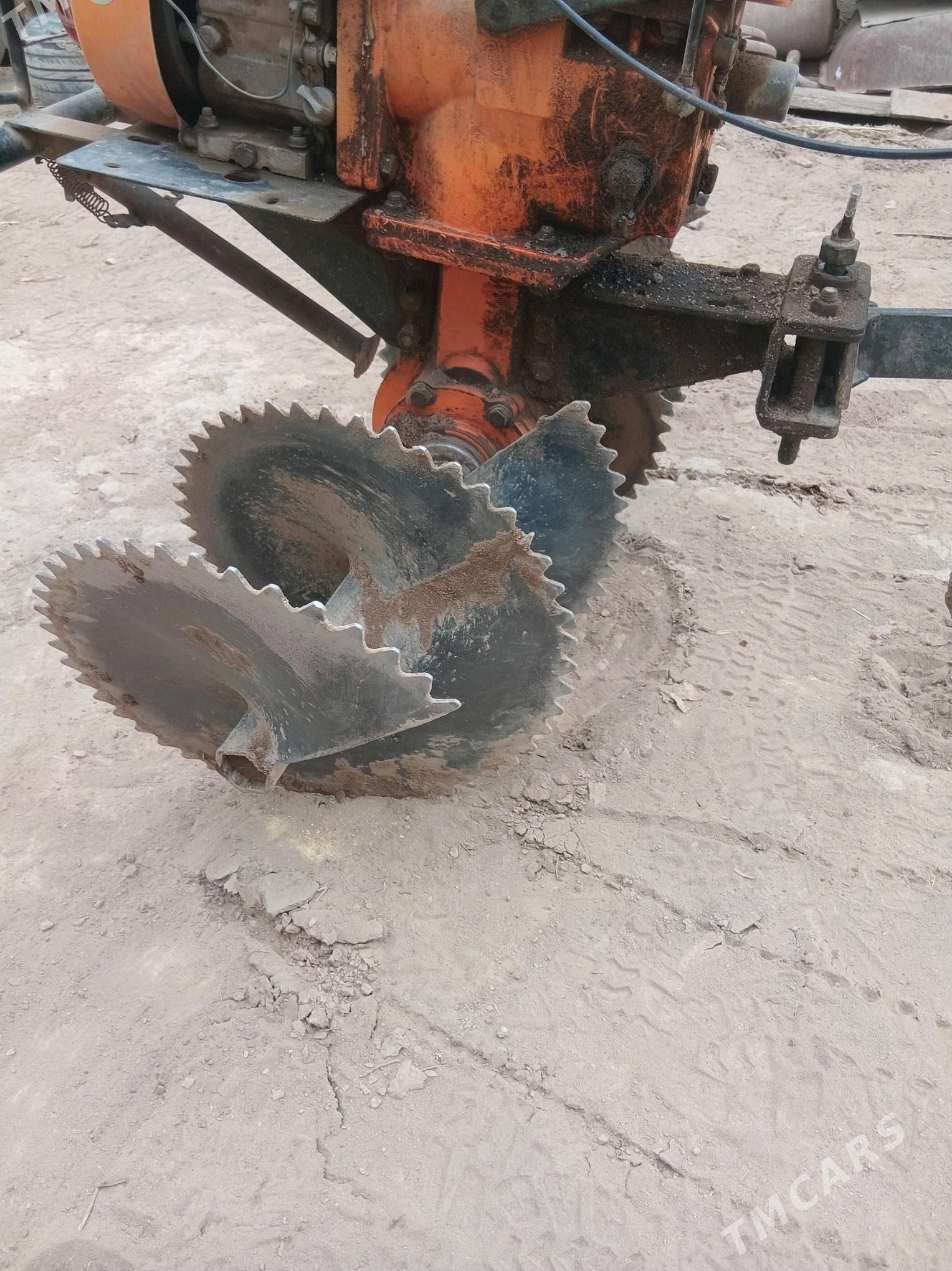 joýa  çekýän. - Дашогуз - img 2