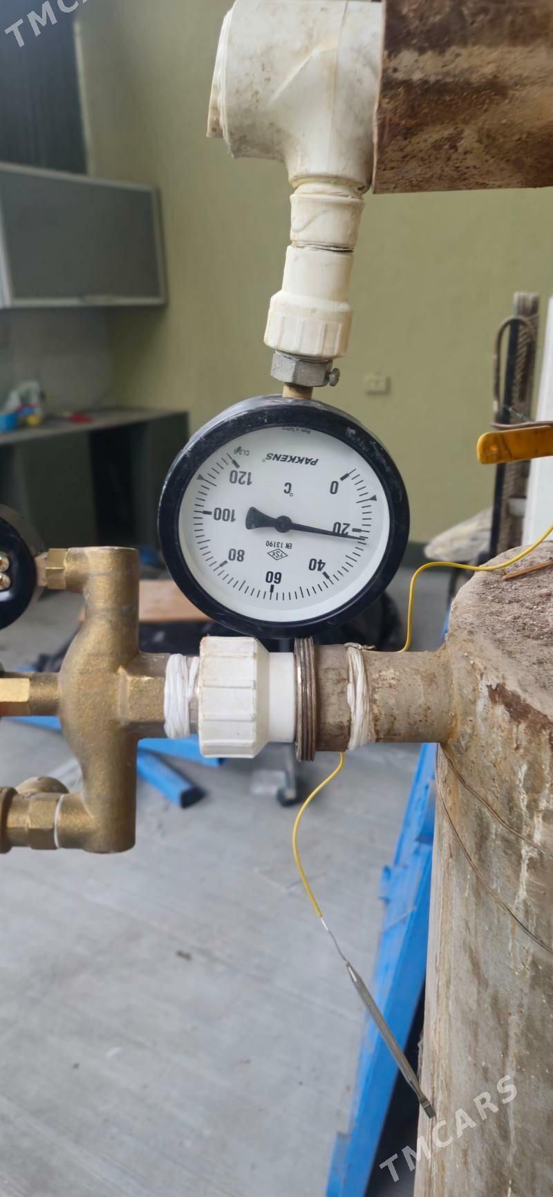 katyol katelnyy - Aşgabat - img 3