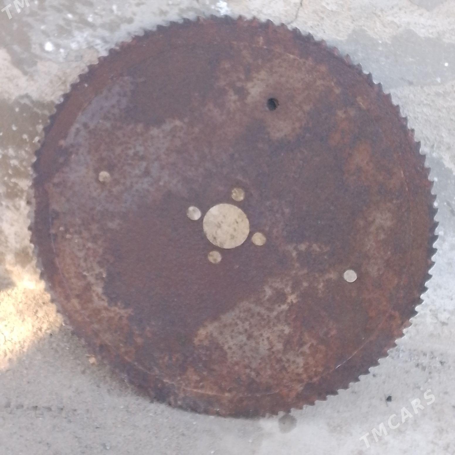 Пилорама - Туркменбаши - img 2