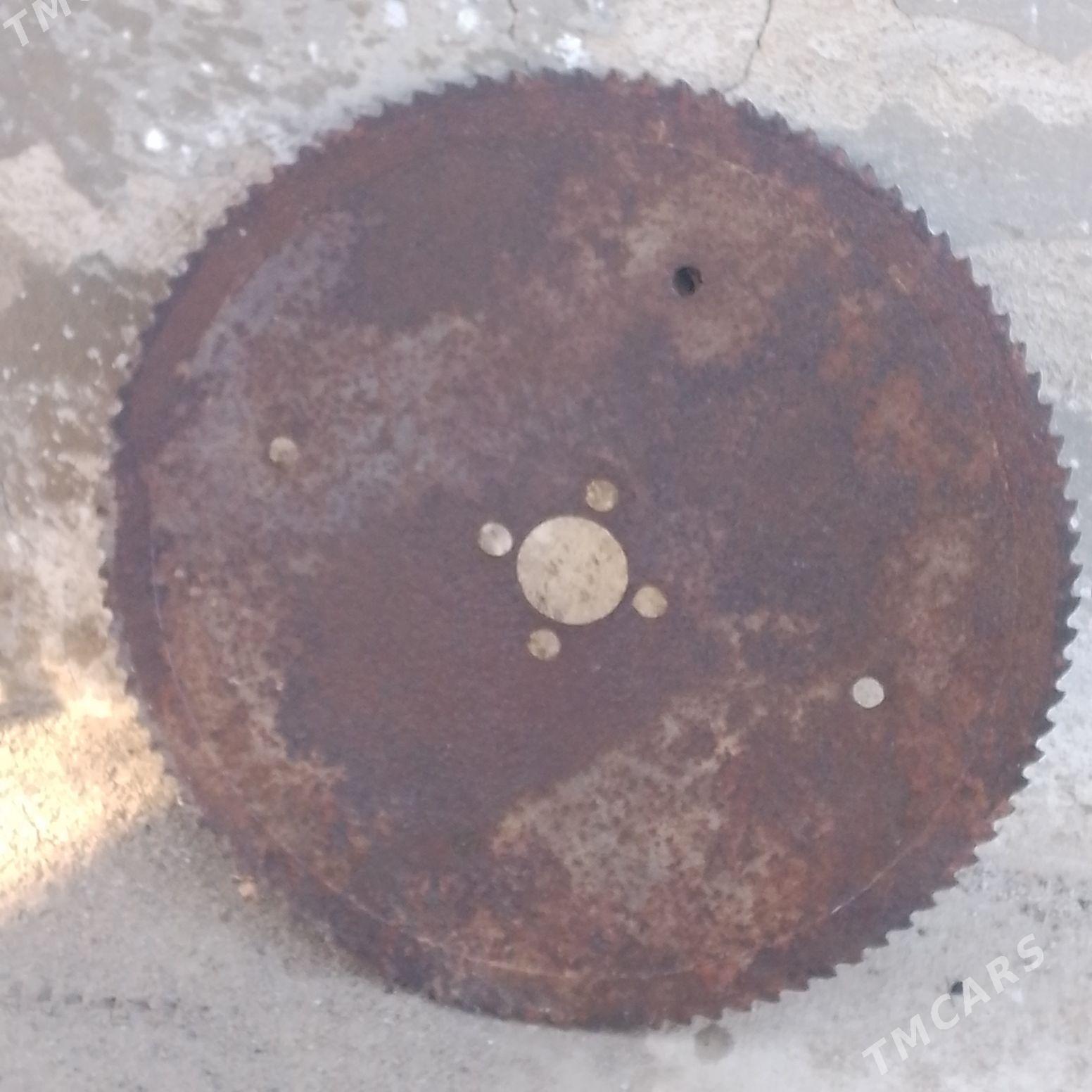 Пилорама - Туркменбаши - img 3