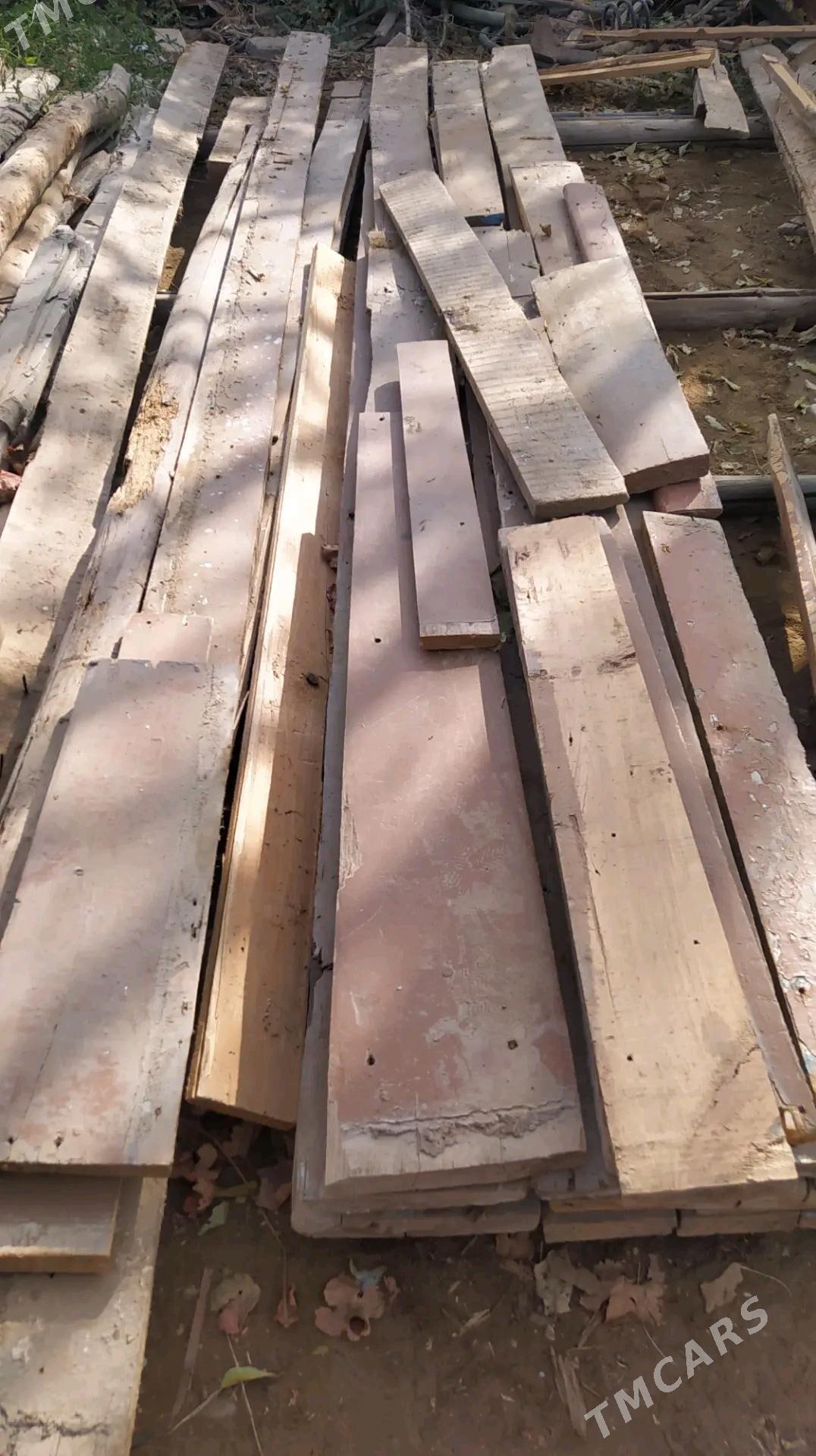 polluk agaçlar - Мургап - img 2