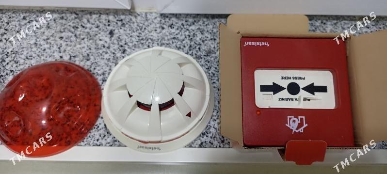 yangyn datcik - Arzuw - img 3