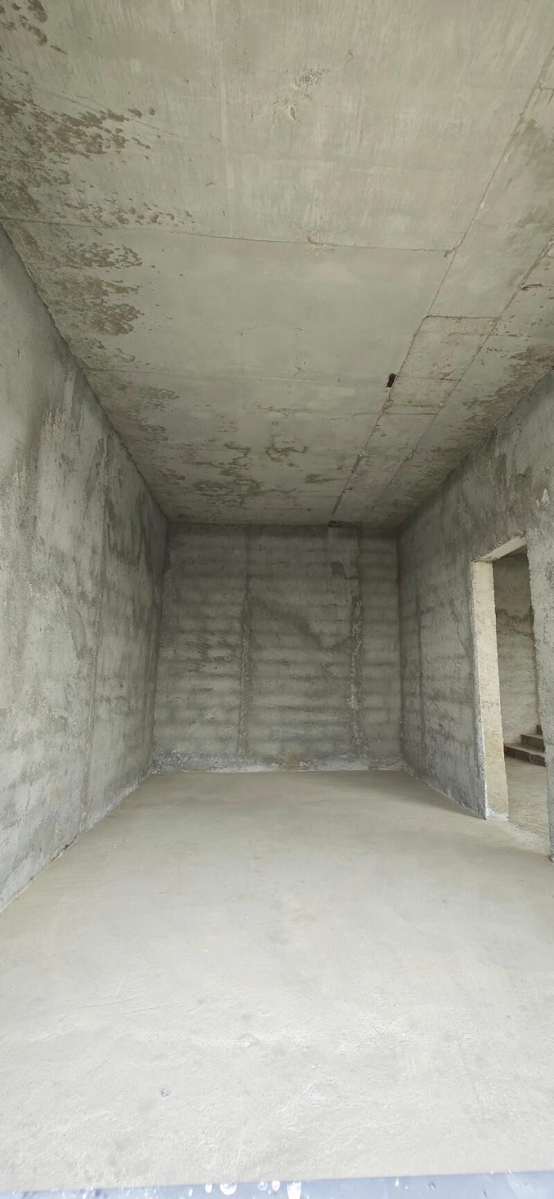 Çoganly Kotez чоганлы - Ашхабад - img 4