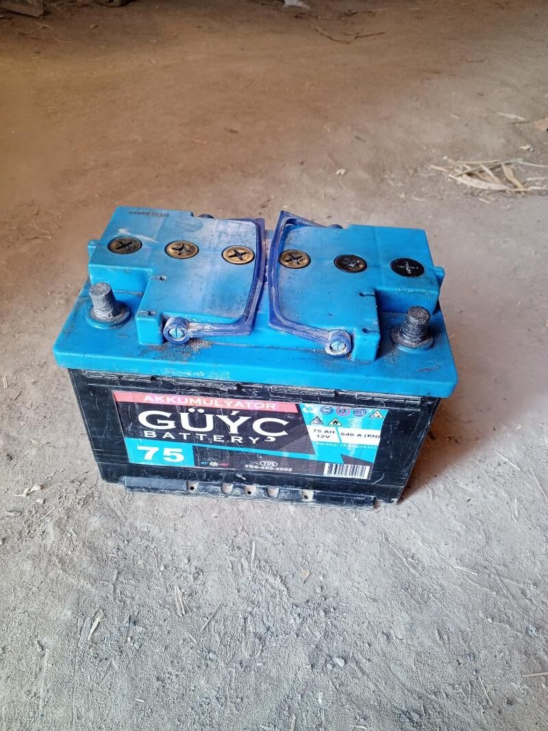 akumlýatyr 120 TMT - Гороглы (Тагта) - img 2