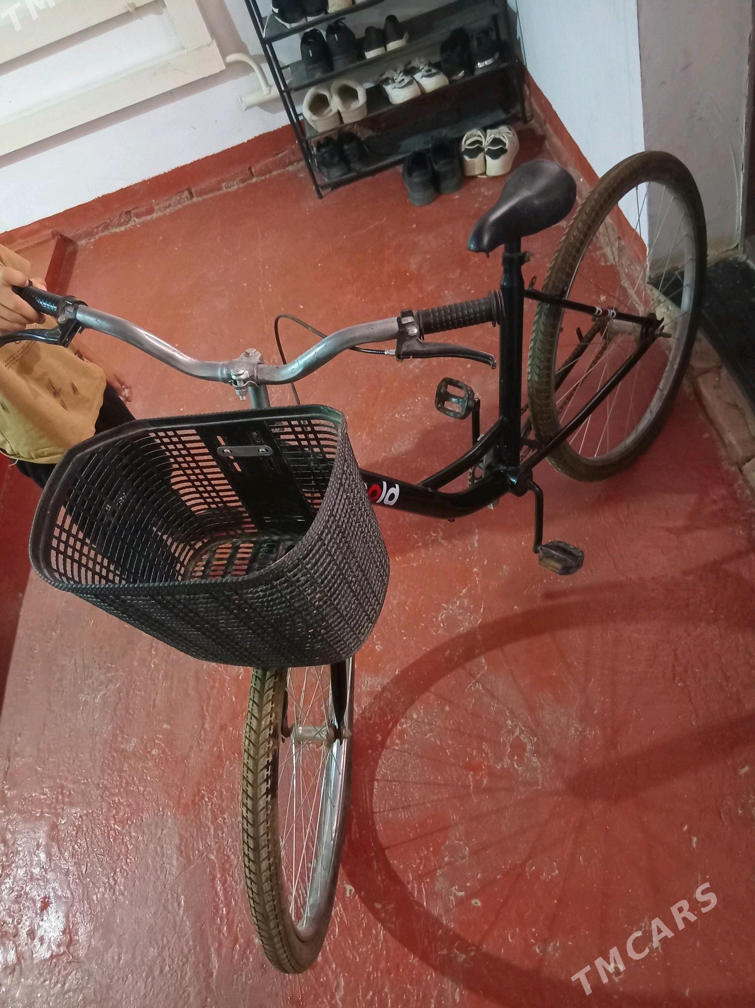 Salut Wellik - Дашогуз - img 3