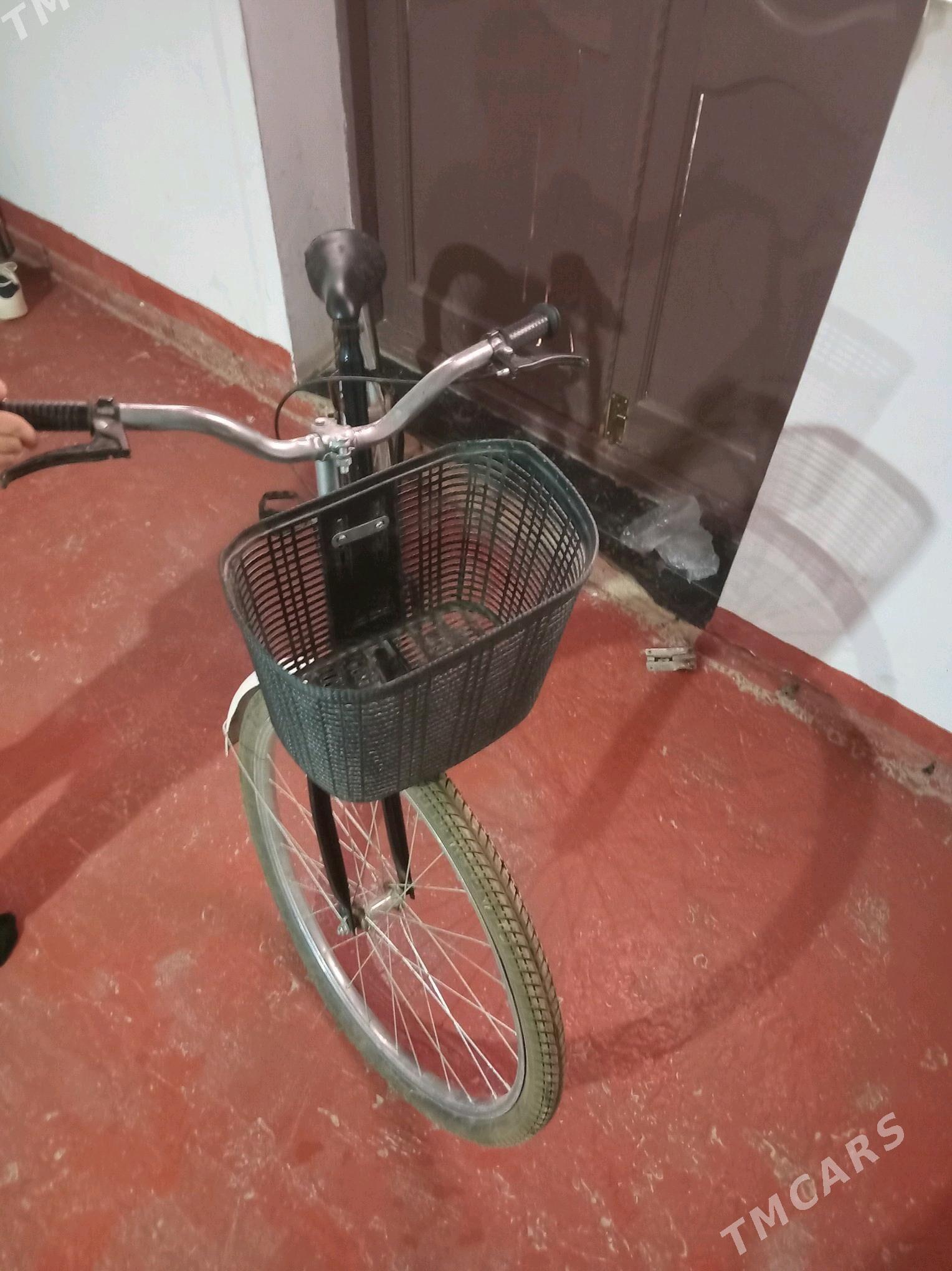 Salut Wellik - Дашогуз - img 2