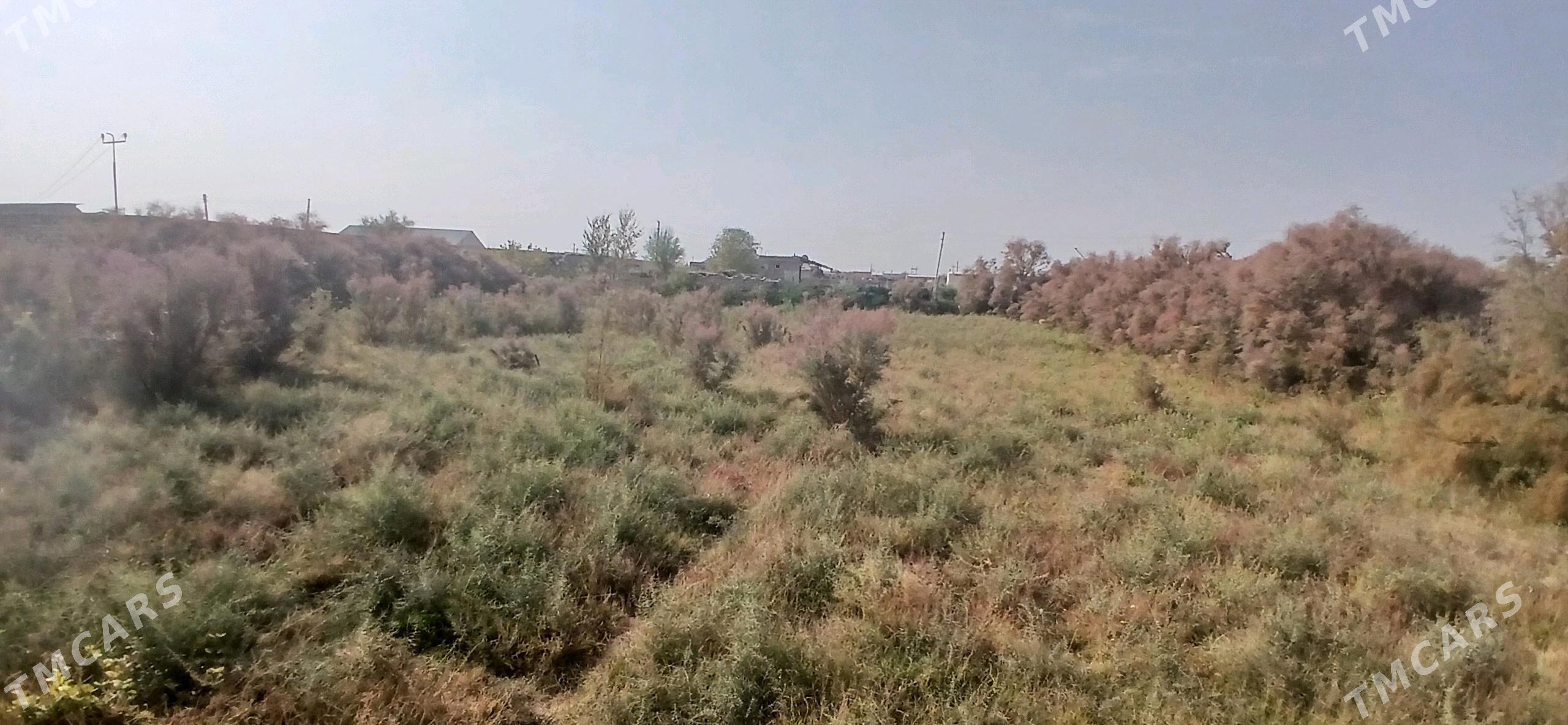 затон дача газ гечен обмен йок - Çärjew - img 2