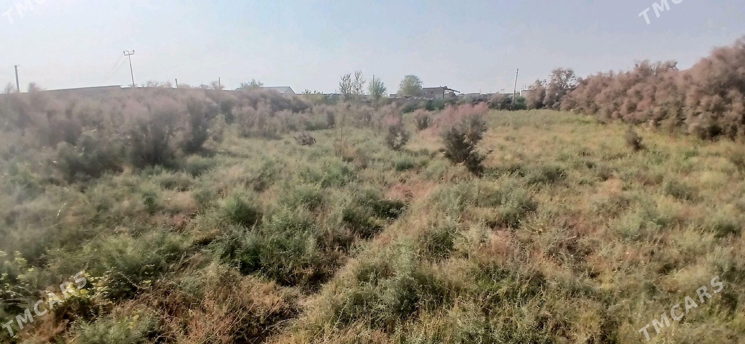 затон дача газ гечен обмен йок - Çärjew - img 3