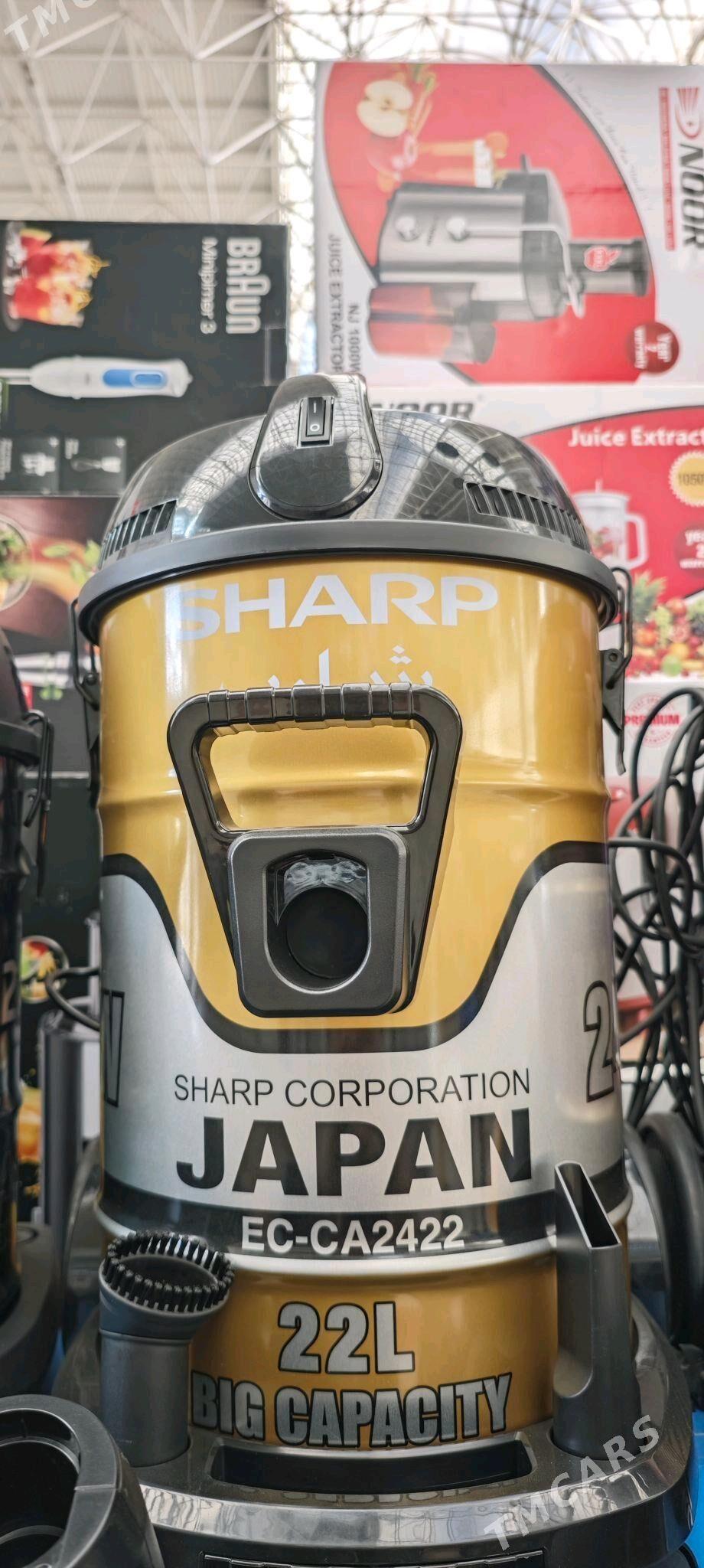  Plesoslar Amatly Bahadan  - Aşgabat - img 3