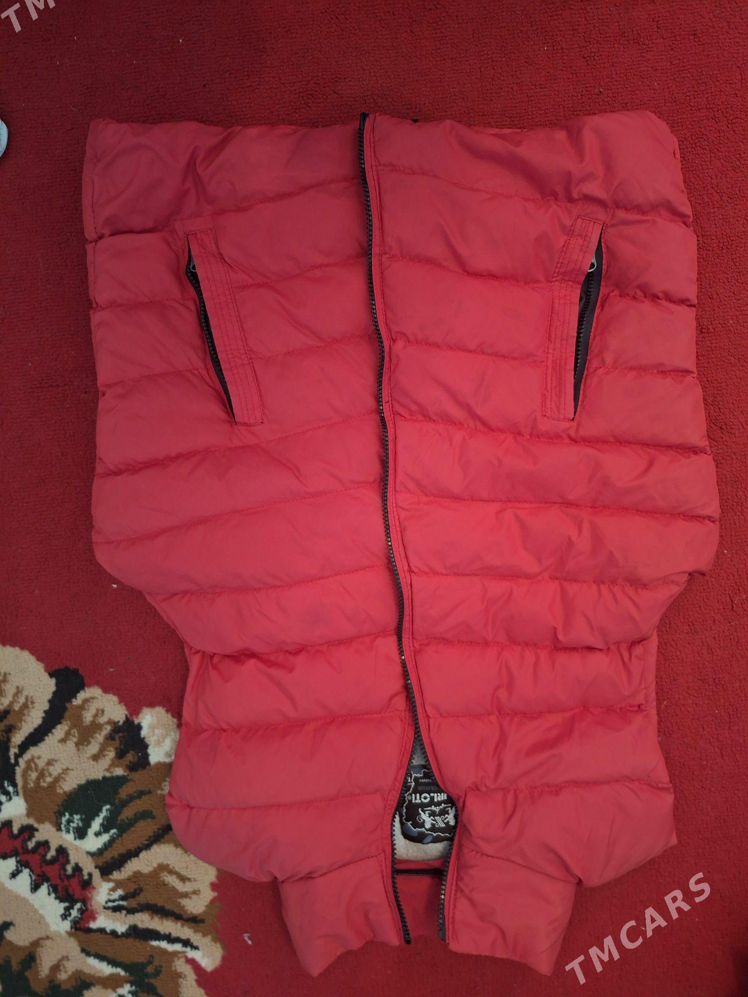 kurtkalar - Дашогуз - img 3